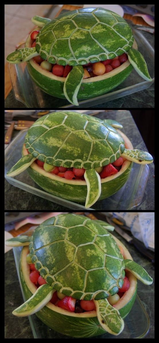Tortue fruits