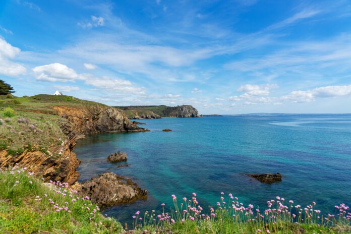 Wild,Coast,,Armeria,Maritima,And,Turquoise,Waters,On,The,Peninsula