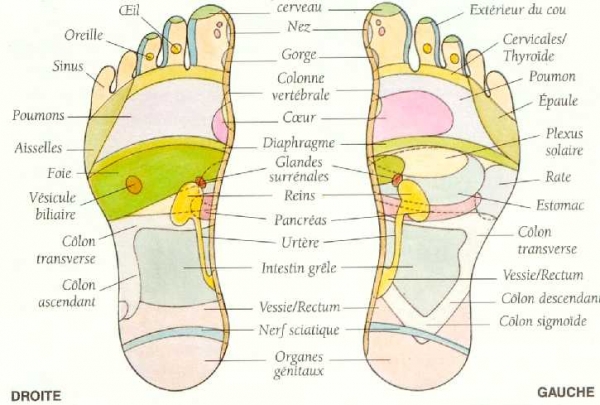 Les Bienfaits De La R Flexologie Plantaire La Bulle