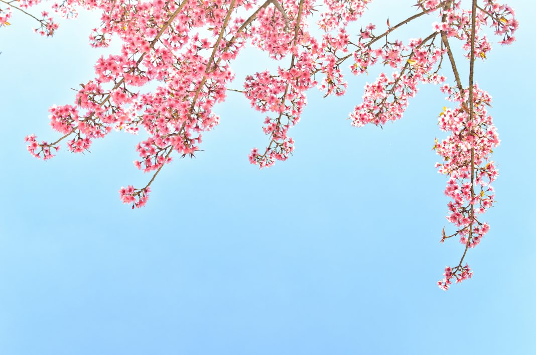 shutterstock_127989746