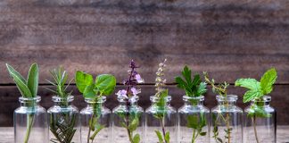 Top 8 des huiles essentielles à utiliser au quotidien