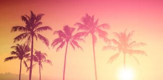 #Sunset : Top 10 des couchers de soleil Instagram