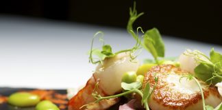 5 restaurants de thalasso à découvrir sans tarder