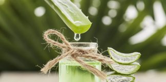 Top 5 des bienfaits de l’ aloe vera