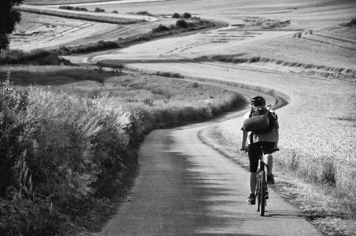 shutterstock_518171041