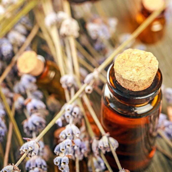 shutterstock_290086394