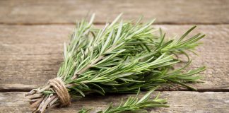 Les bienfaits du romarin dans vos produits de beauté