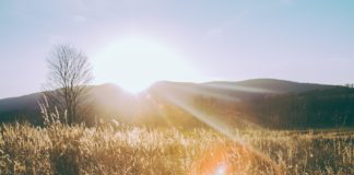 Top 10 des citations qui font du bien