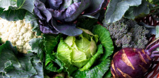 Tout sur les bienfaits des choux