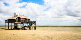 Les 4 saisons d’Arcachon